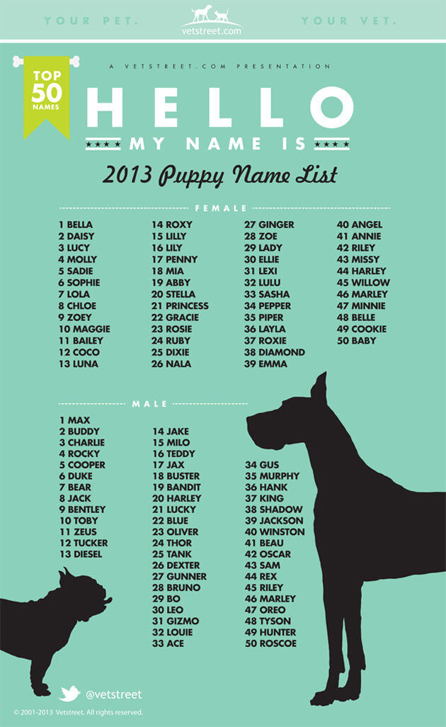 Top 50 nomi cuccioli